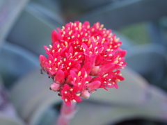 P1290664