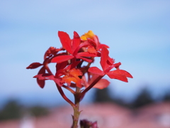 P1290655