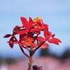 P1290655