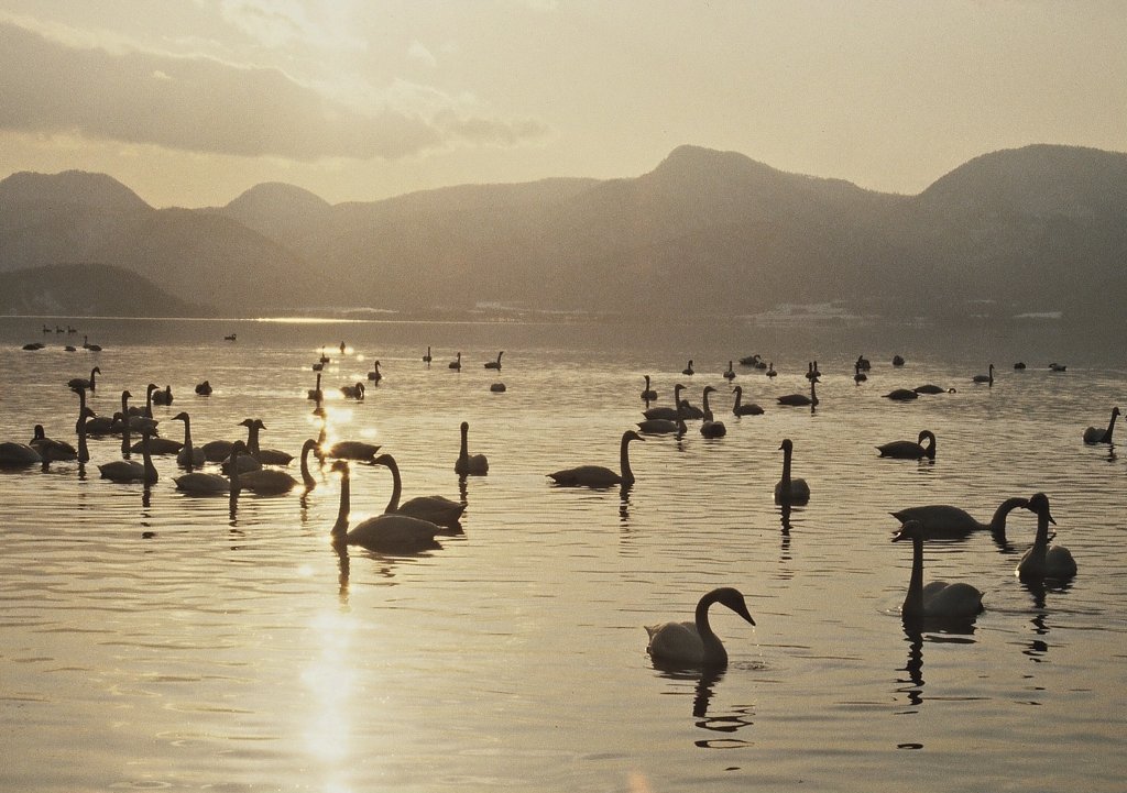 冬湖