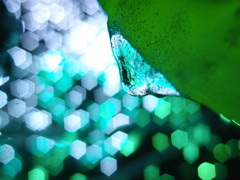 寒さが心を暖める１
