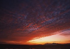 朝空