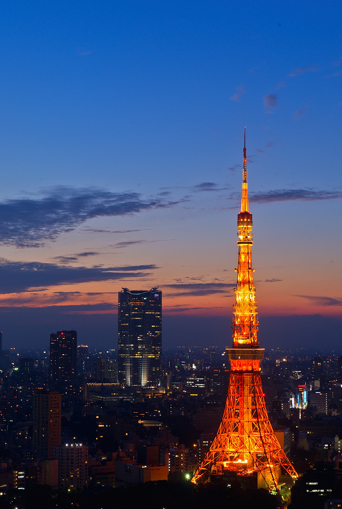 綺麗なライン