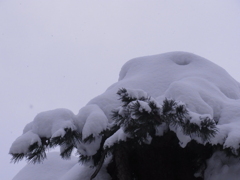 雪おばけ