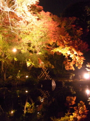 長谷寺のもみじ