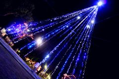 IMG_0303