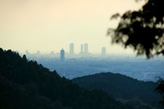 IMG_0618