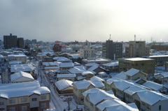 新潟の雪景L9991536