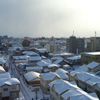 新潟の雪景L9991536