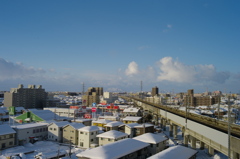 新潟の雪景L9991533