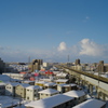 新潟の雪景L9991533