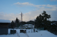 春よ来い　2012-02-01 006