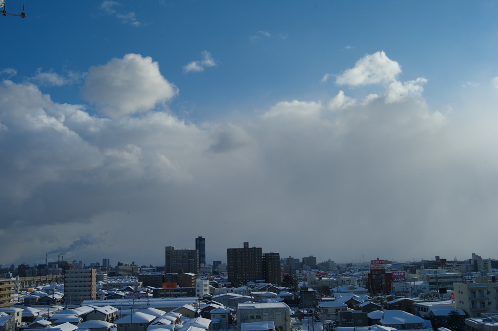 新潟の雪景L9991539