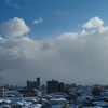 新潟の雪景L9991539
