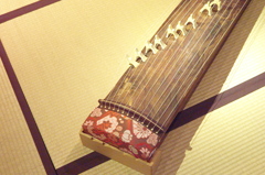 L9990648