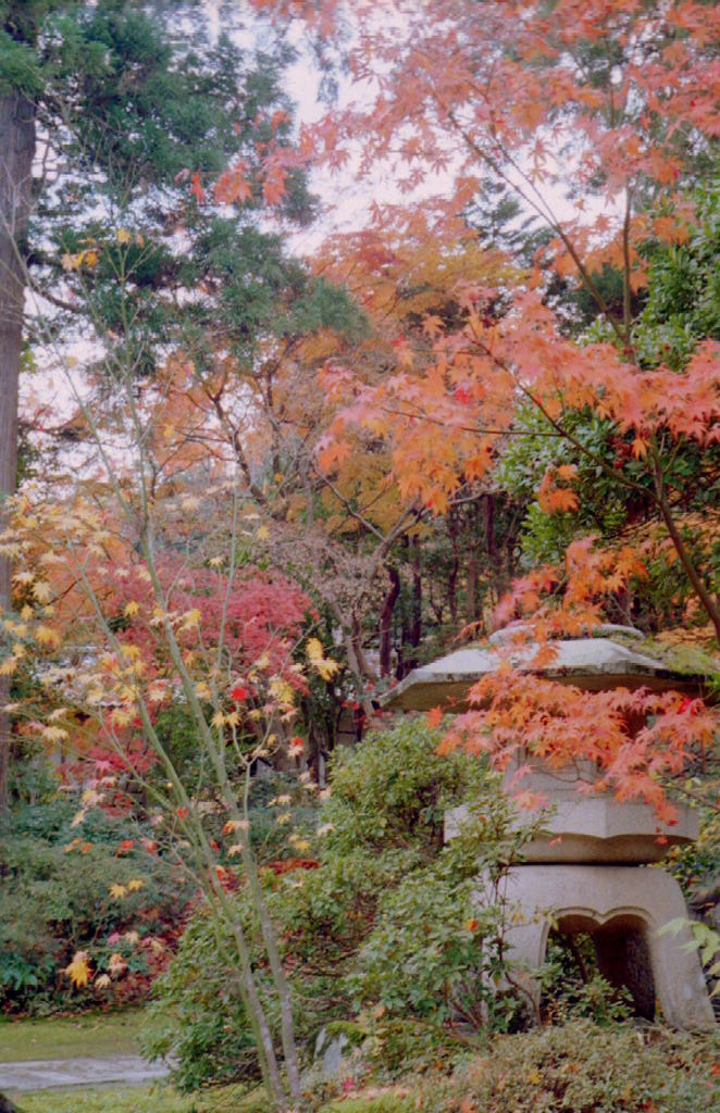 中野邸美術館080
