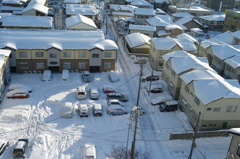 新潟の雪景L9991541