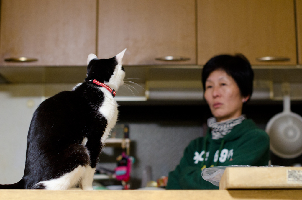 「ご飯ちょうだい」