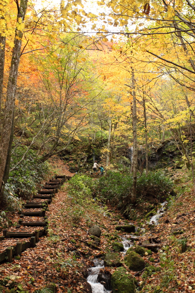湯尻川歩道