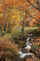 湯尻川源流