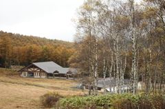 湯の丸高原スキー場の秋