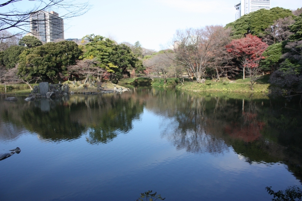 穏やかな日