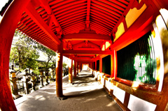 トンネル