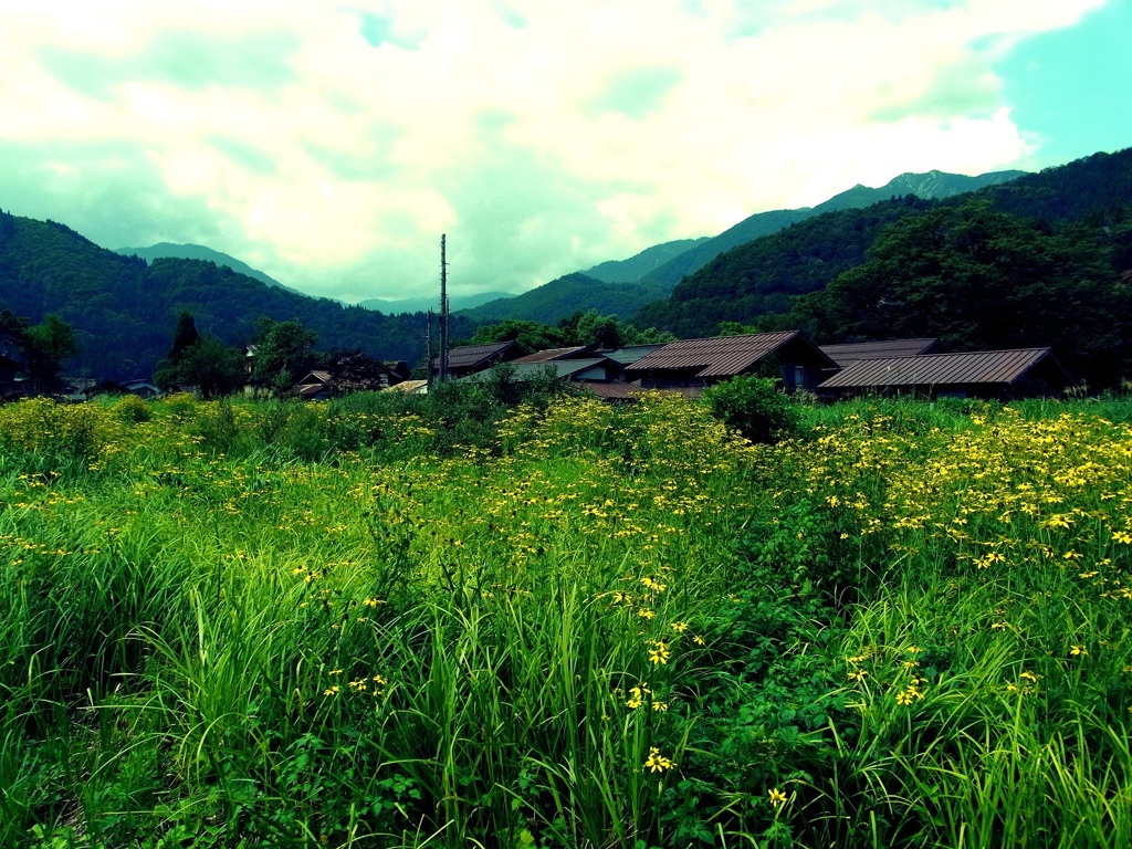 夏の白川郷