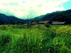 夏の白川郷