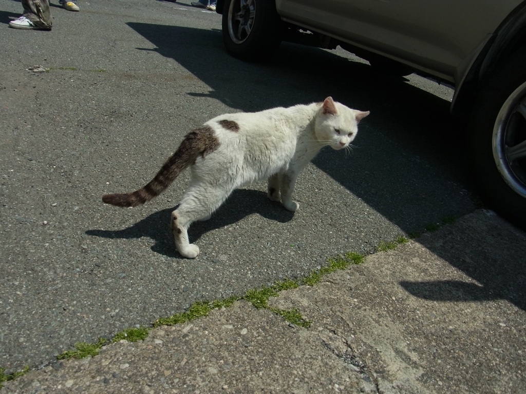 なんや？コラ