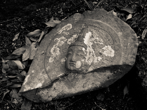 _K5_1953