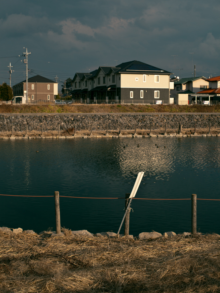 池のある風景