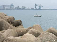 海