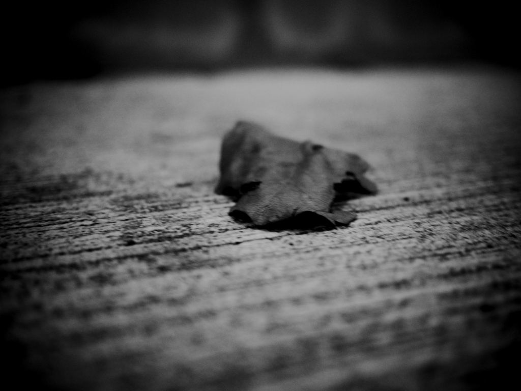 Rest