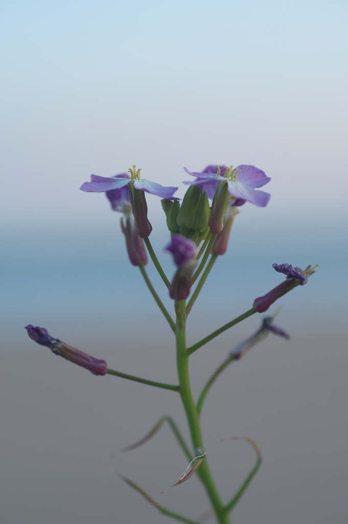DSC_5014