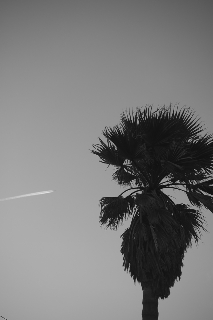 DSC_5025