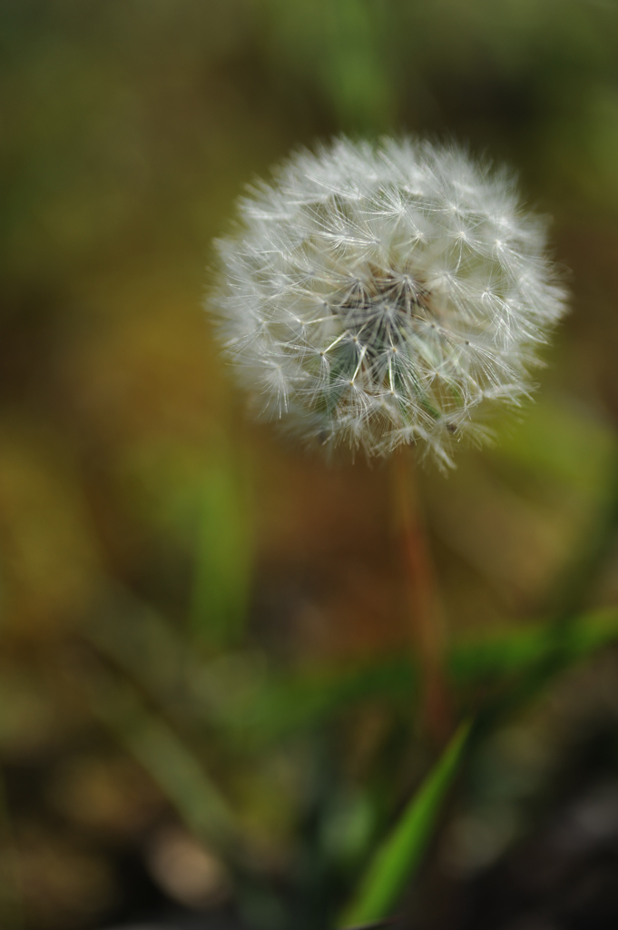 DSC_4982