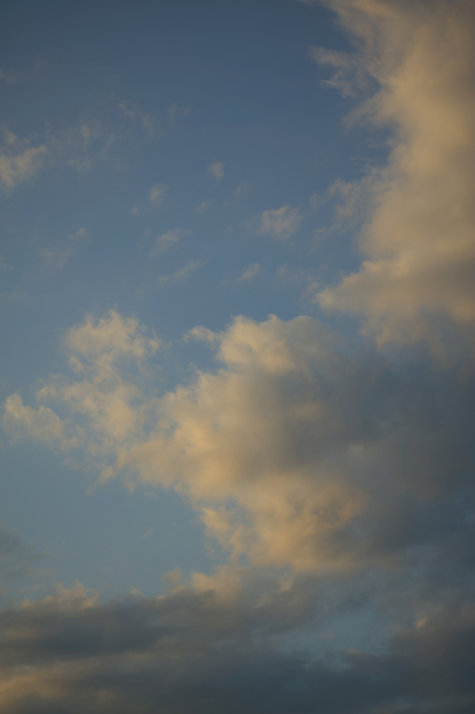 DSC_5013
