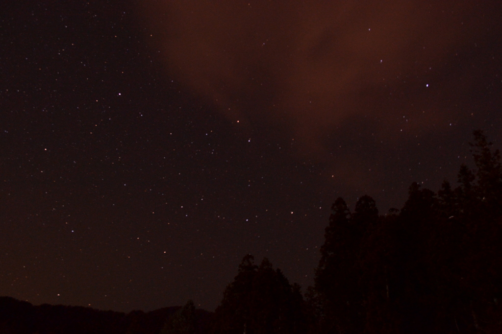 森と星空