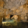 洞窟のオアシス