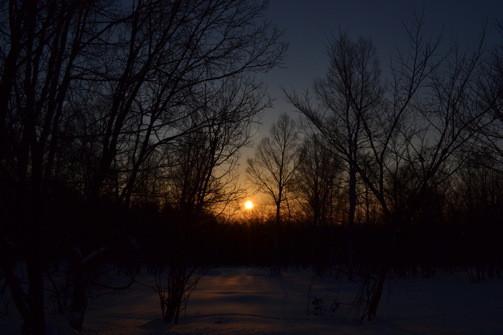 夕日