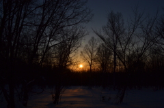 夕日