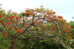 20111127_293