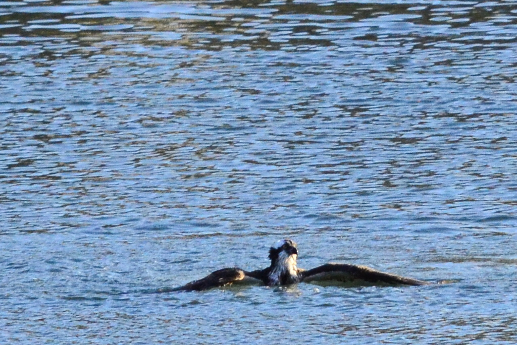 引きずりこまれる