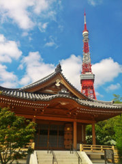 青空の下の寺とタワー