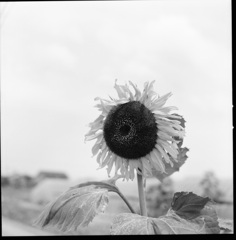 2011.07