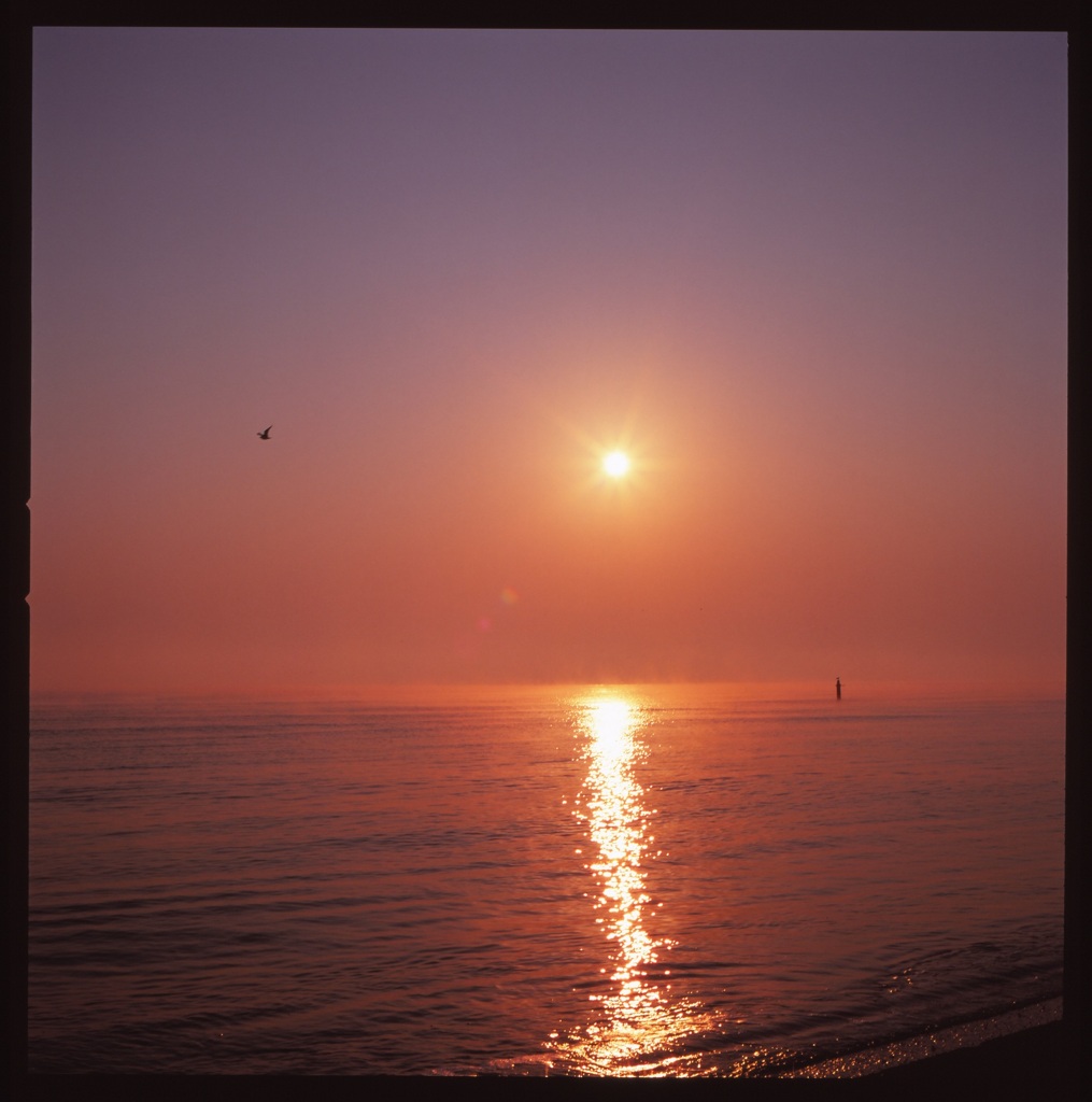 朝日 or 夕日