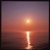 朝日 or 夕日