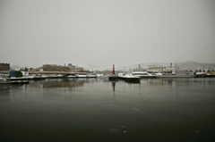 港から見える小樽の街