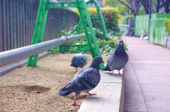 見つかるっっ！？